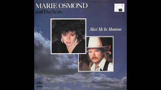 Dan Seals - Meet Me In Montana (With Marie Osmond) (1985) HQ
