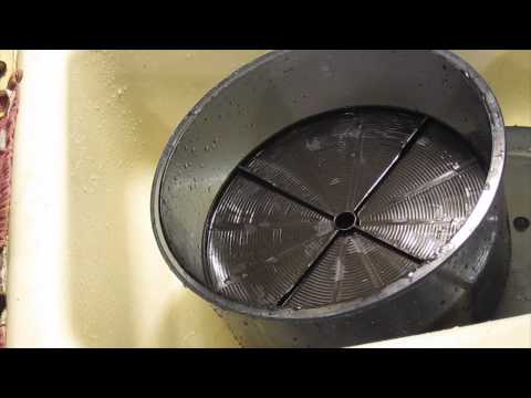 download lagu mp3 mp4 Baby Sunflower Sprouts, download lagu Baby Sunflower Sprouts gratis, unduh video klip Baby Sunflower Sprouts