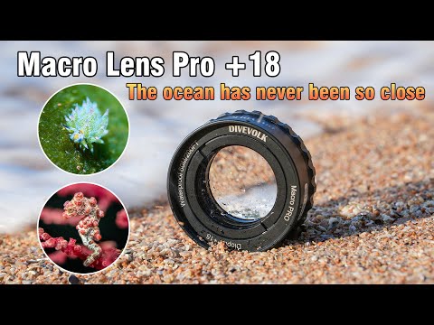 Introducing DIVEVOLK Macro Lens Pro +18 : Transforming Smartphones into Underwater Microscopes