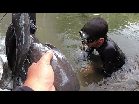 SE03EP030 Part 1 - mga NAGLALAKIHANG HITO PINAMUGARAN ang ILALIM ng BUHAY na BATO