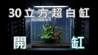 新設魚缸 | 30立方超白缸 | 幫鬥哥開一個新家 | betta fish tank setup | nanocube fish tank set up | 4K video