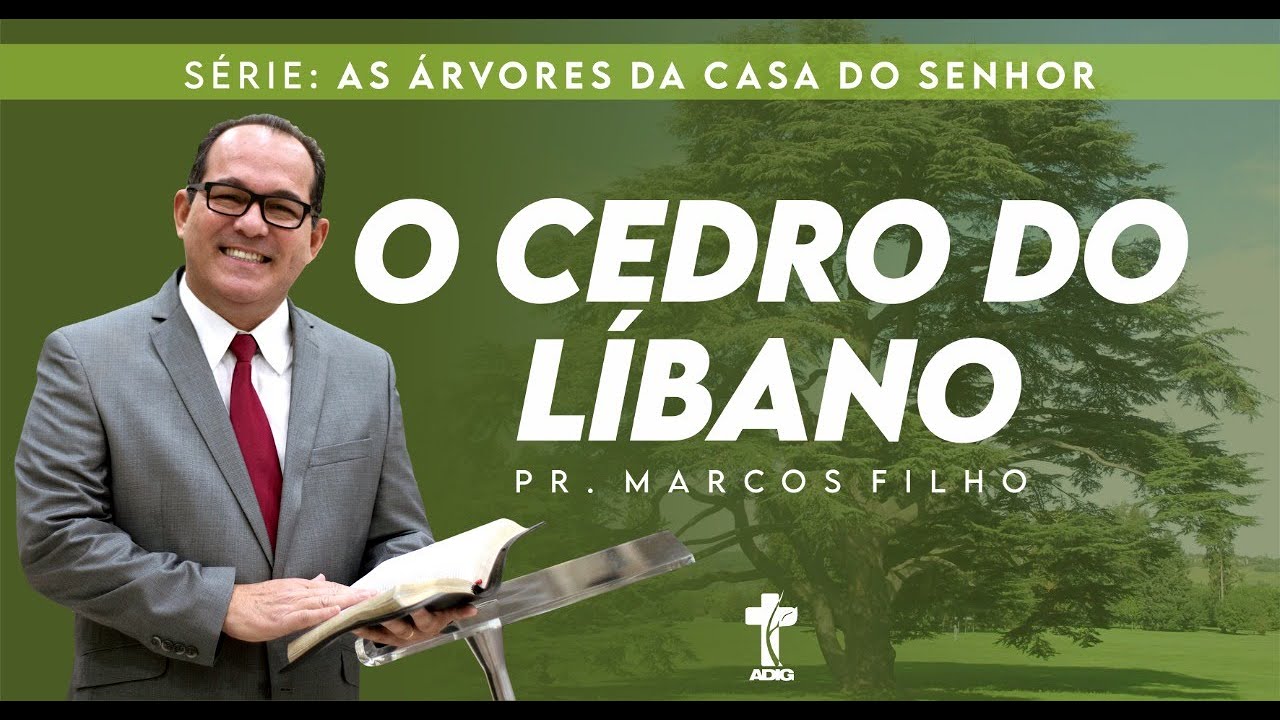 PR. MARCOS FILHO - O Cedro do Líbano