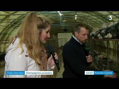 C'est votre tour : Les serres de Ney, champignonnière jurassienne