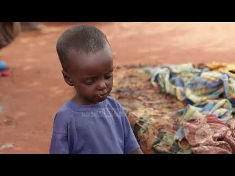 Uria në botë/ Shkak konfliktet, zhvillimi i ngadaltë dhe ndryshimi i klimës