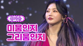 홍지윤 - 미움인지 그리움인지