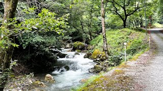 Download the video "涼しい風と自然の造形美を堪能　赤波川渓谷　日本海新聞"