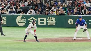 2024.11.23 #プレミア12 日本VS台湾　盗塁準備万全の五十幡