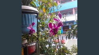 Download lagu Ku Percaya Takdir Indah mp3 Download lagu Ku Percaya Takdir Indah mp3