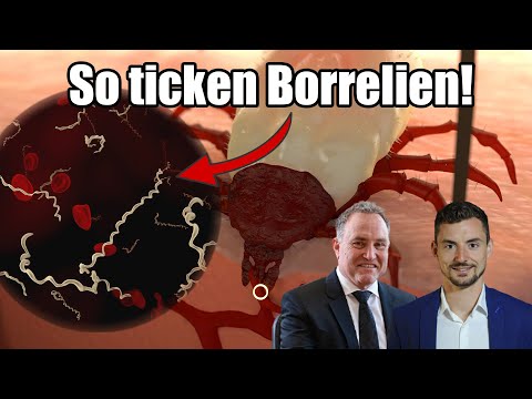 Borreliose behandeln | Eigenschaften von Borrelien | Dr. Armin Schwarzbach & Sören Schumann