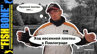 Как ловить чебака в мае 2020
