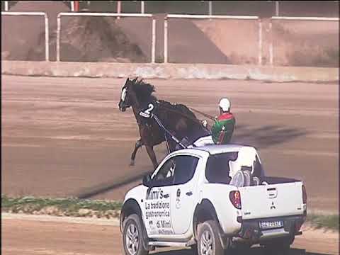 Trotto 04/10/2019 - 2ª corsa