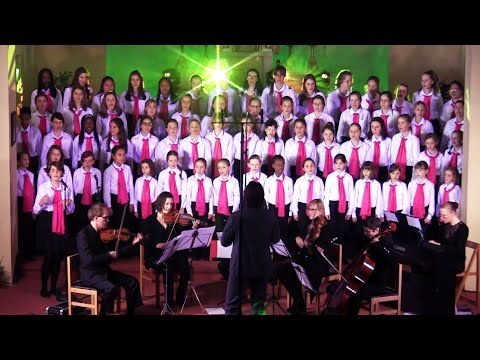 Od Ebra do Dunava - populaire tzigane