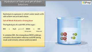 Hydrolysis of Salts and pH of Their Solutions I | Equilibrium | Chemistry | Class 11th | iPrep