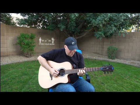 Lag Hyvibe Acoustic Guitar