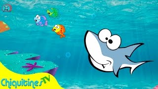 Un tiburón - Canción Infantil - Bebé Tiburón