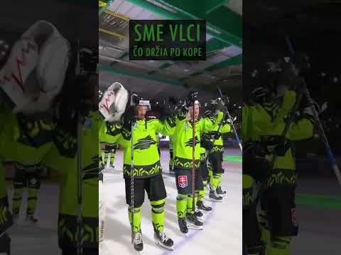 mopy - VLCI ŽILINA [verzia Majstri 2024]