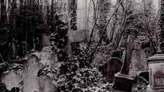 Cradle of Filth  -  Portrait of the Dead Countess