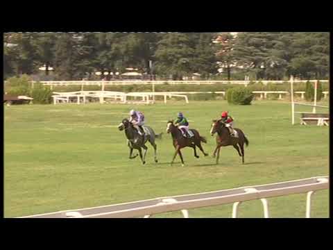 15 08 2024  2.a  corsa  Premio Unione Proprietari Galoppo