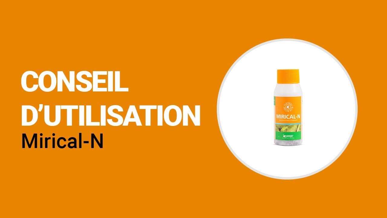 Video preview poster