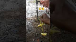 Download lagu Lato Lato Viral - Video Lucu Bikin Ngakak#shorts mp3