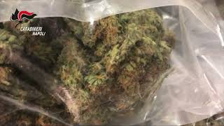 droga-dalla-spagna-alle-piazze-italiane-con-base-operativa-a-napoli-e-caserta