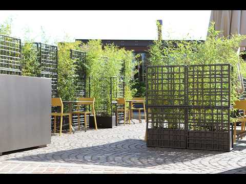 Klikni za predvajanje