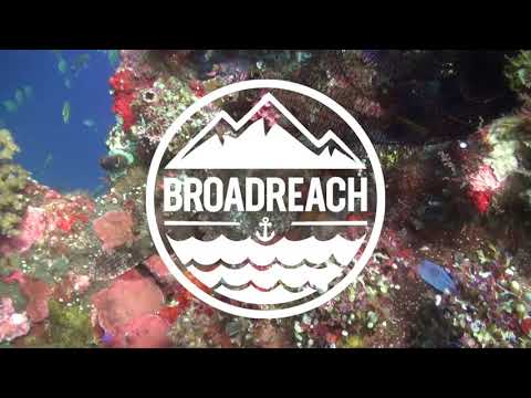 Broadreach Marine Biology Programs for Teens