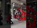 Lat Pulldown Machine By Hoist Fitness