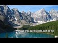 Immigration Commercial