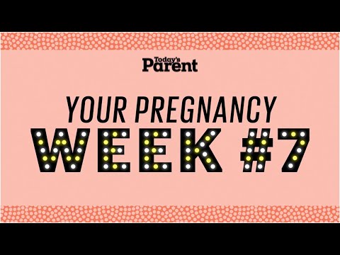 Your pregnancy: 7 weeks