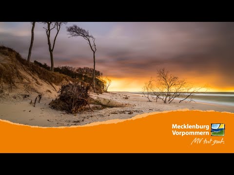 Zwischen Licht und Wasser - Lichtspiele auf Fischland-Darss-Zingst