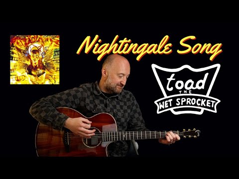 The Nightingale Song - Toad the Wet Sprocket