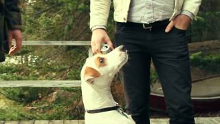 STEVE ADAMYK BAND - "Katacombs"