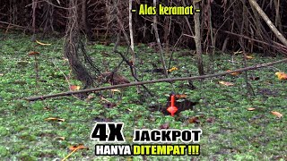 Download lagu Spot edan!!! Berkali2 kelabakan saat umpan mancingku diserang #SG-461 mp3