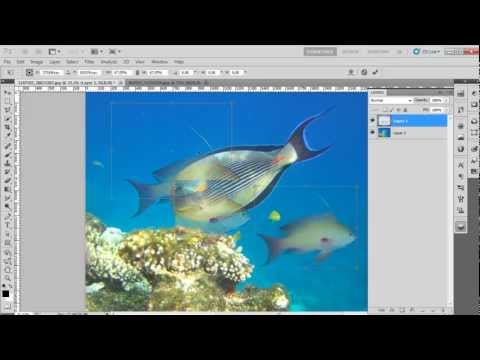 How to View Photoshop Full Screen