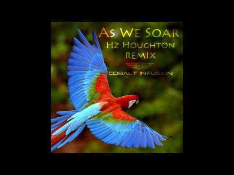 Cobalt Infusion - As We Soar (Hz Houghton Remix)