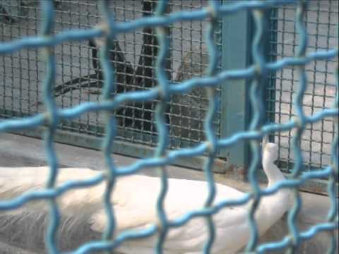 Tehran, Iran - Nasrin Sasanpour