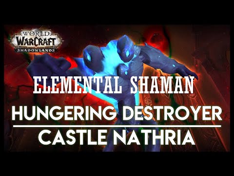 Elemental Shaman Mythic Hungering Destroyer!