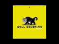 Houston - Soul Coughing