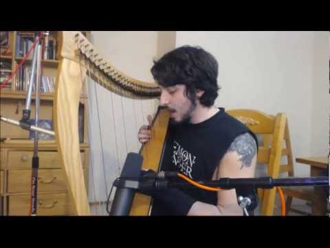 Nightwish - While Your Lips are Still Red Harp Cover
