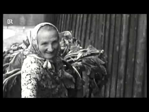 b 2001 Berolina BR Damals  Das harte Leben im Bayerischen Wald   Unser Land   BR