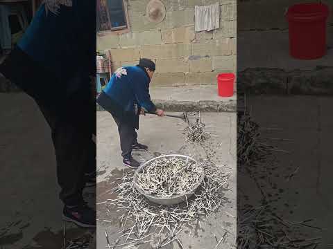 اتضح أن أشواك النيص يمكن استخدامها في الصيد 😯