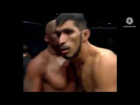 seabis vs. da rocha. best mma fghit