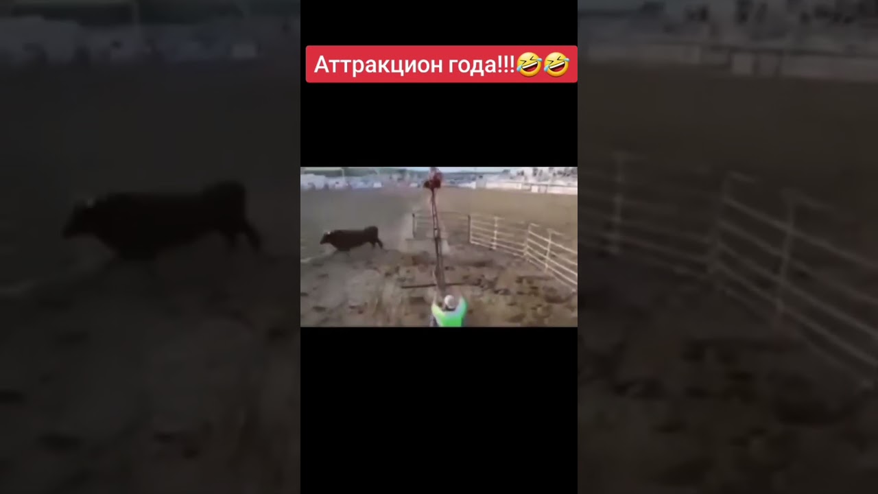 ��������� ����� �� ����� - ��� ������ ����