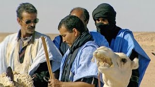 Camel | Nomads of the Sahara