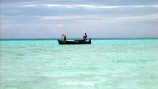 Happy Alone, Earlimart