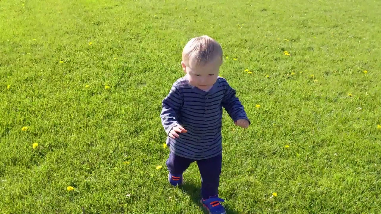 Red Light/Green Light Soccer Drill