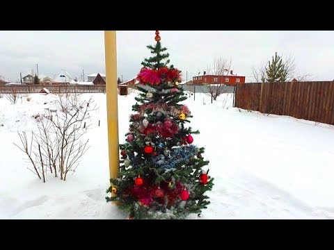 VLOG:ЛЮВАК ЭКЗОТИЧЕСКИЙ КОФЕ! KOPI LUWAK. 28.12.19