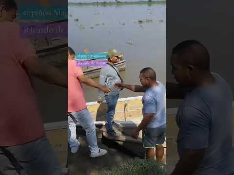 así se marca las personas para ir a los diferentes lugares alrededor del río Magdalena