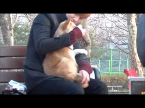 [120117]INFINITE's Sunggyu & the dog